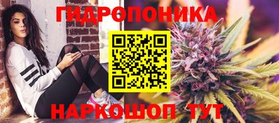 индика Кандалакша