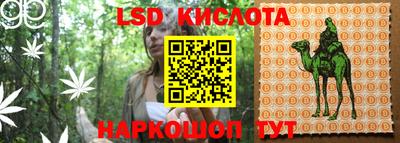 сатива Канаш