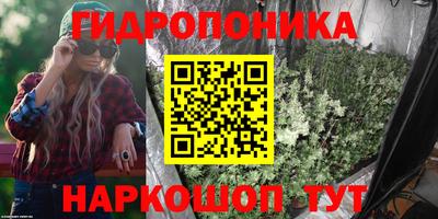 индика Кандалакша