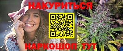 индика Кандалакша