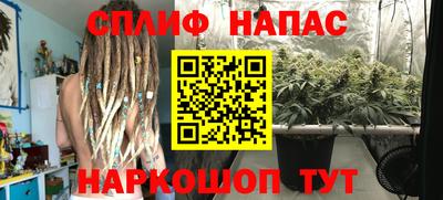 индика Кандалакша