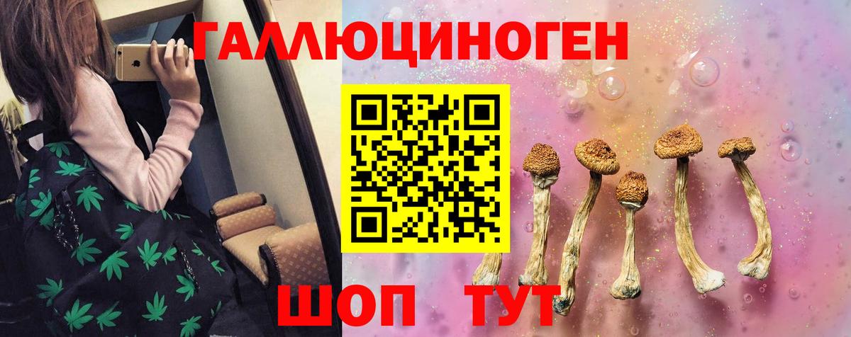 Галлюциногенные грибы прущие грибы Ноябрьск
